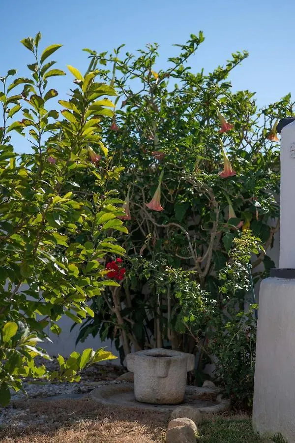 Los Anos Locos Conil De La Frontera Apartment